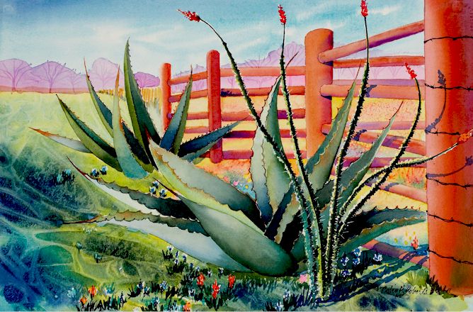 agave plant