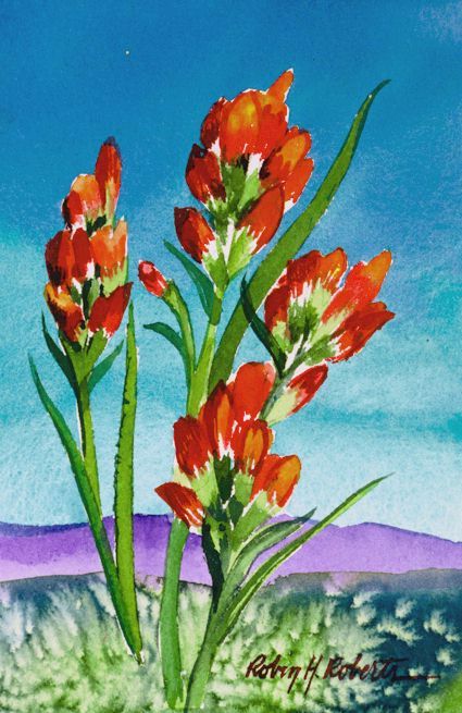 Red Indian Paintbrush